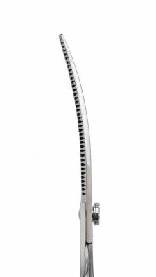 PT GOOD GROOM PURPOSE MAGIC CURVE 40T 7'